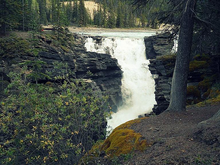 Kanada Athabasca Falls