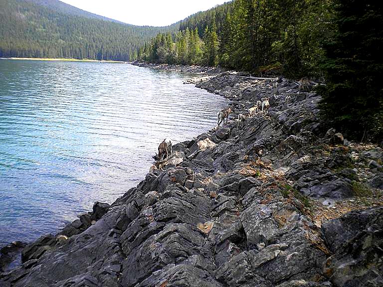 Kanada Minnewanka Lake