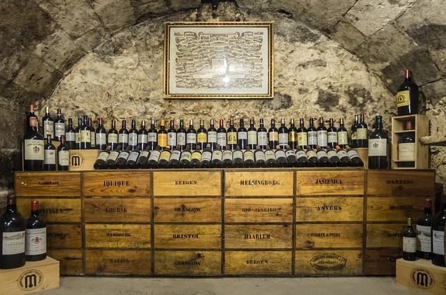 Burgundsko víno vinice co navštívit a vidět