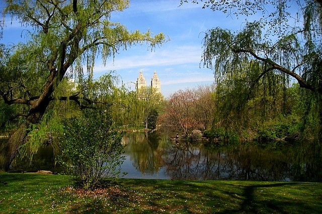 Central Park New York co navštívit a vidět