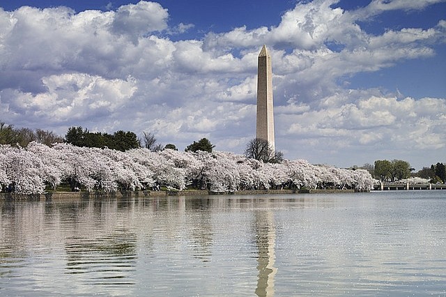 Washington Obelisk Washingtonův památník co navštívit a vidět, průvodce, turistické atrakce