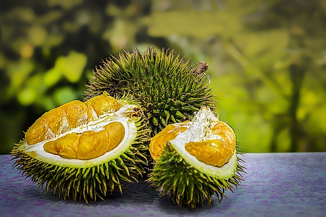 Malajsie tropické ovoce durian