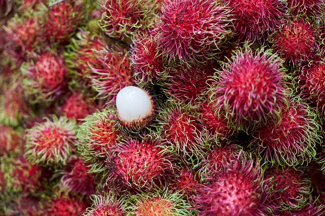 Malajsie tropické ovoce rambutan