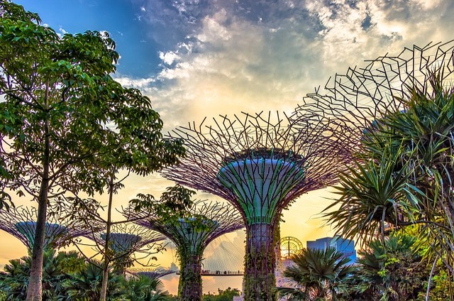 Singapur zahradní areál Gardens by the Bay South co navštívit a vidět v Singapuru