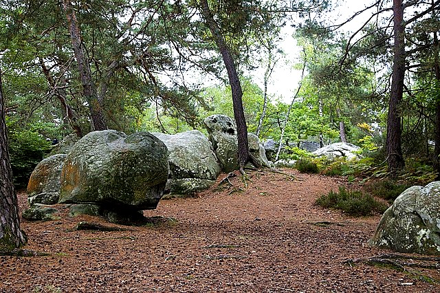  Fontainebleau les co navštívit a vidět ve Francii