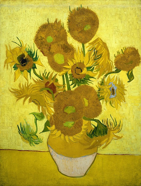 Arles Vincent van Gogh co navštívit a vidět v Provence