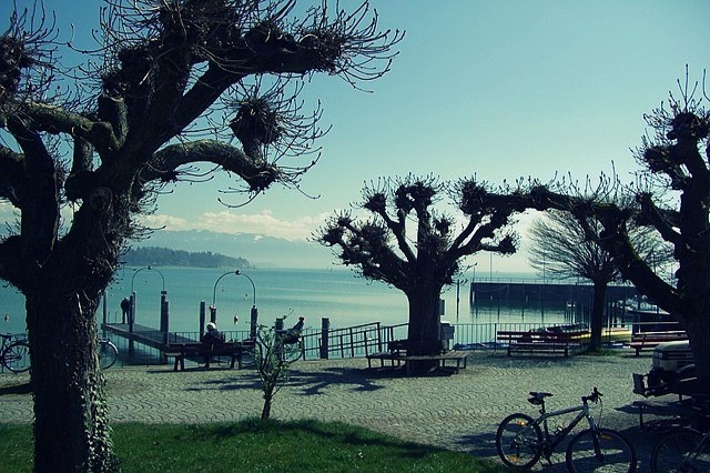 Bodamské jezero Friedrichshafen pobřežní promenáda