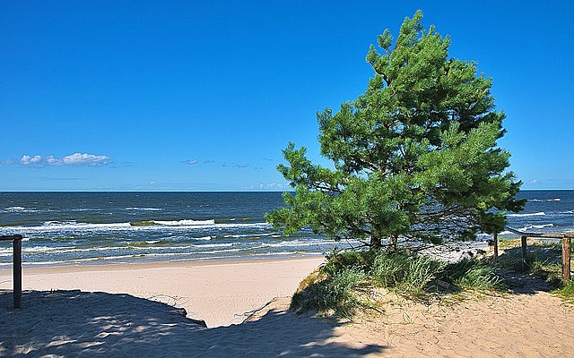 Polsko pobřeží Baltského moře